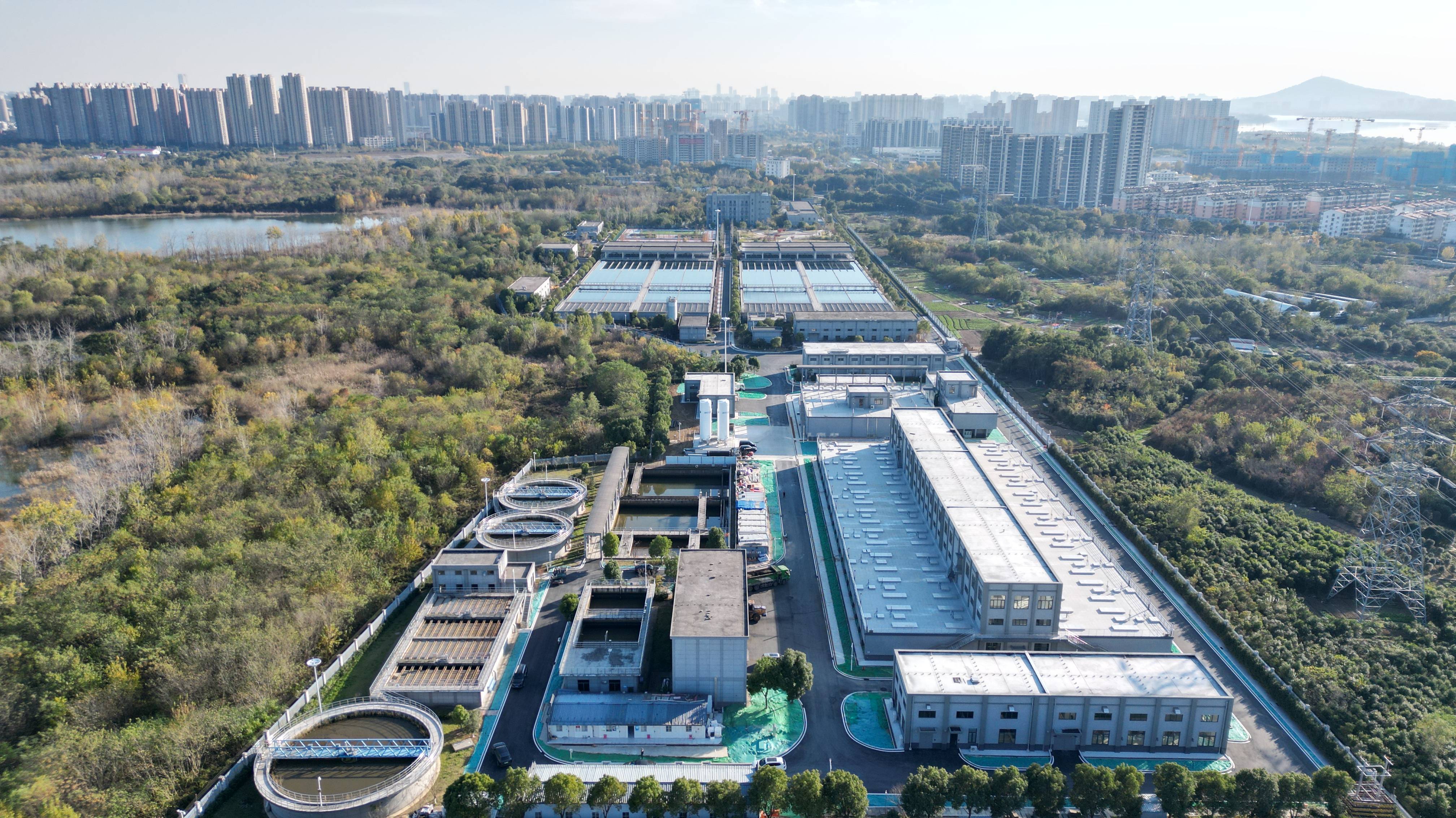 上海市合肥专业企业价值增长(合肥市重点企业产业目录)