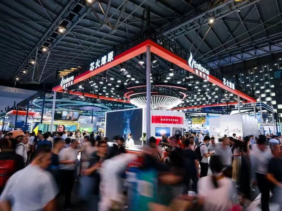 上海市成熟期IPO辅导(成熟期的上市公司有哪些)