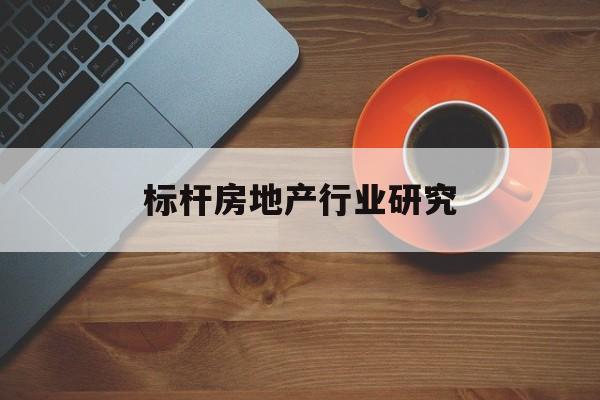 上海市标杆房地产行业研究(房地产领域的标杆人物)
