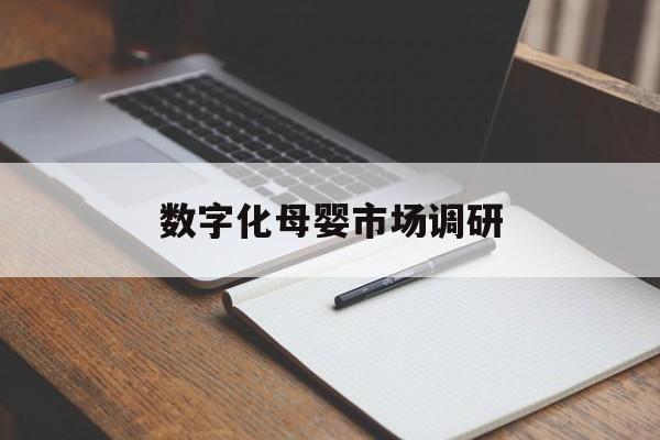 上海市数字化母婴市场调研(数字化母婴市场调研报告)